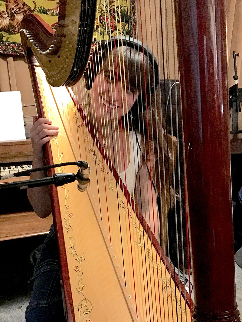 Woman looking through the strings of a harp